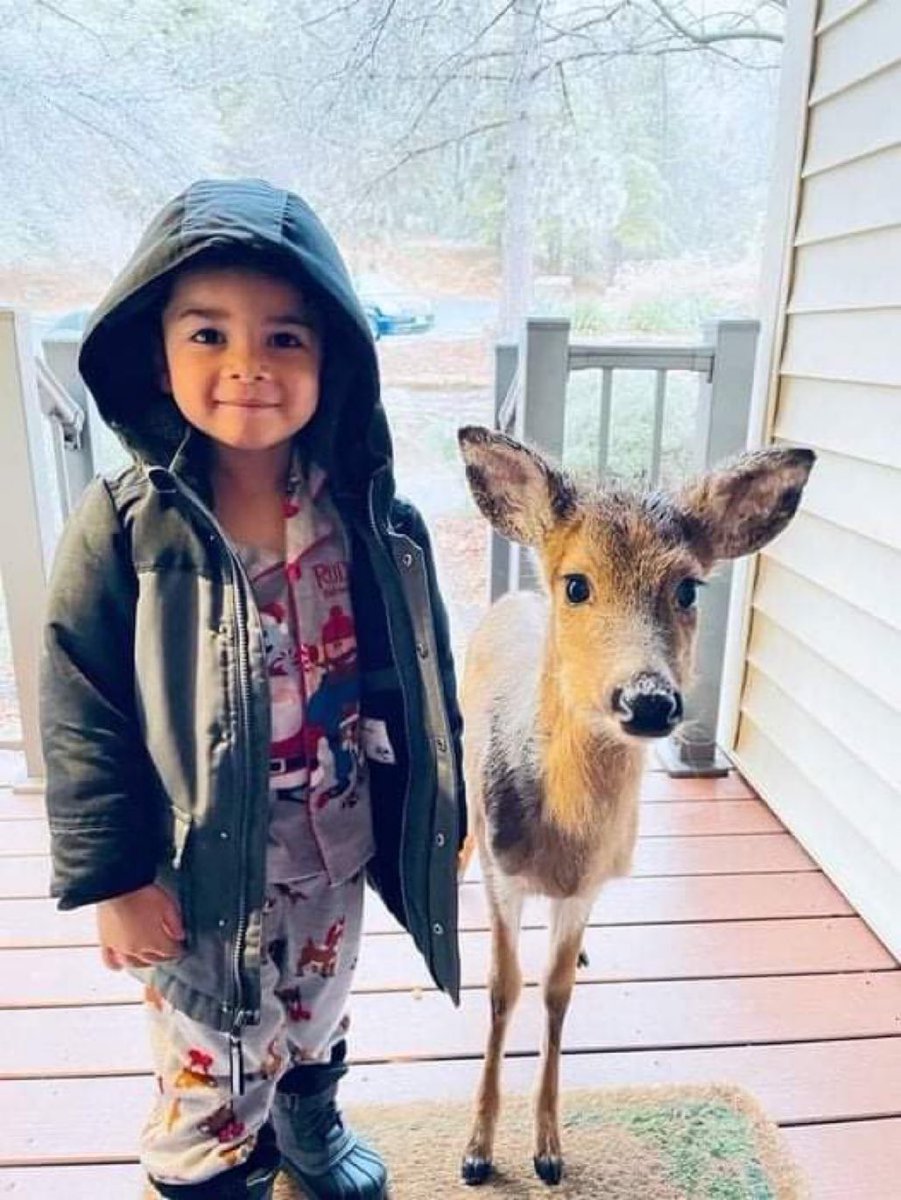 Brink_Thinker's tweet image. 4-year-old  "Dominic" surprised his mother by bringing a baby deer home. 

This photo is too beautiful not to share 👍