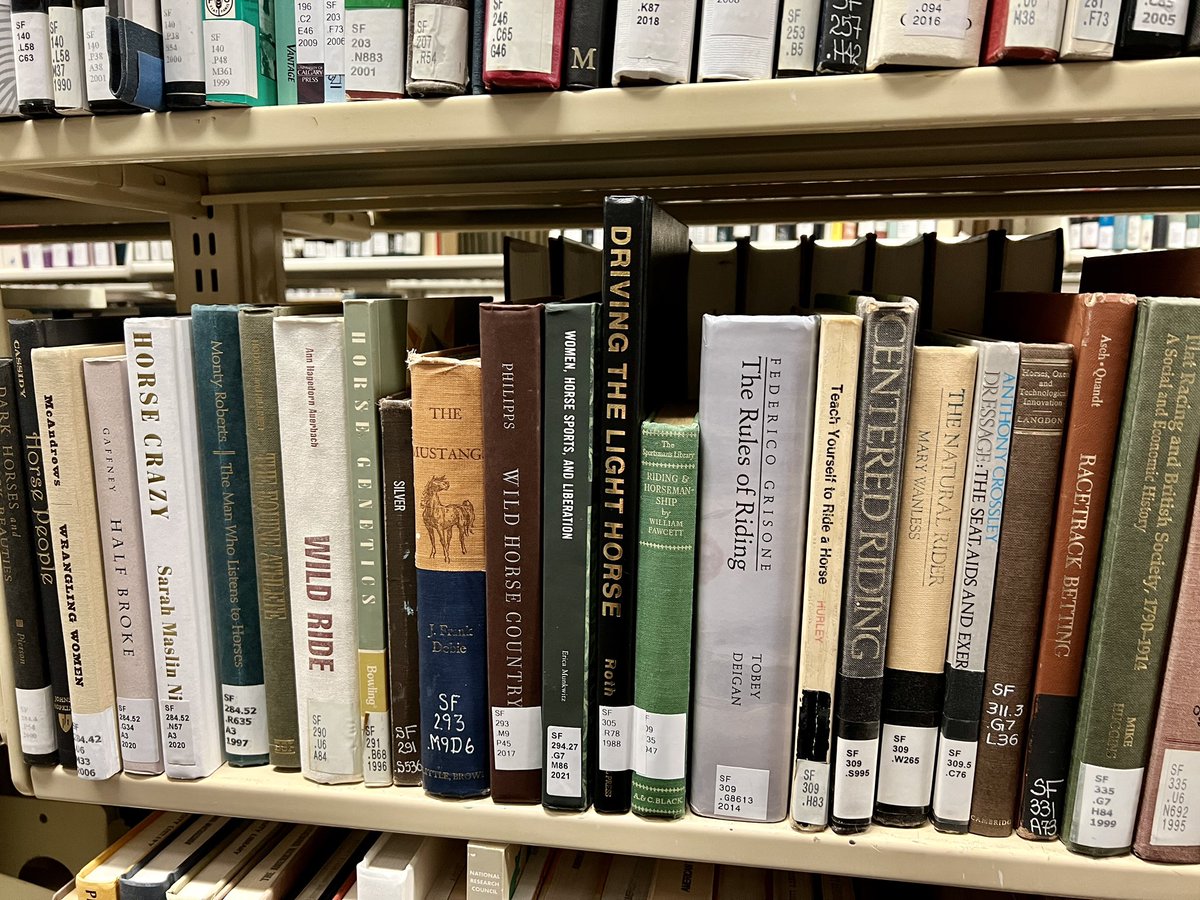 EricaMunkwitz's tweet photo. It has been seen in the wild … and 9 books away from @mikehuggins22, the loveliest mentor whose book was such an inspiration 🤩 #madeittothebigtime #whatsuccesslookslike Thank you to all who provide support and encouragement along the long dark way of a book. https://t.co/ReEBtmrwzi