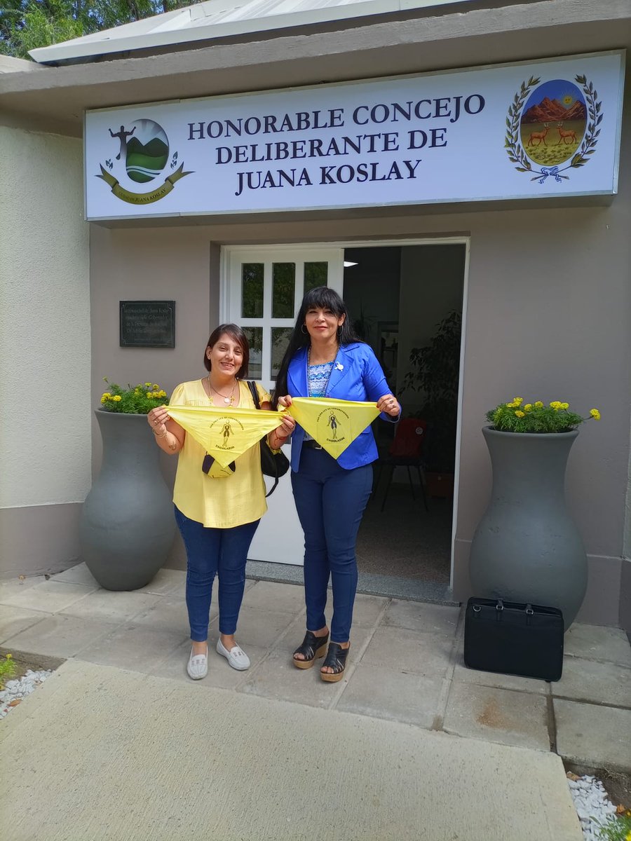 RAQUELG91491243's tweet photo. Aprobación del Proyecto a favor de la lucha sobre Endometriosis en Juana Koslay #juanakoslay #sanluis #endometriosis #endolazos https://t.co/pSlhOI5KcM