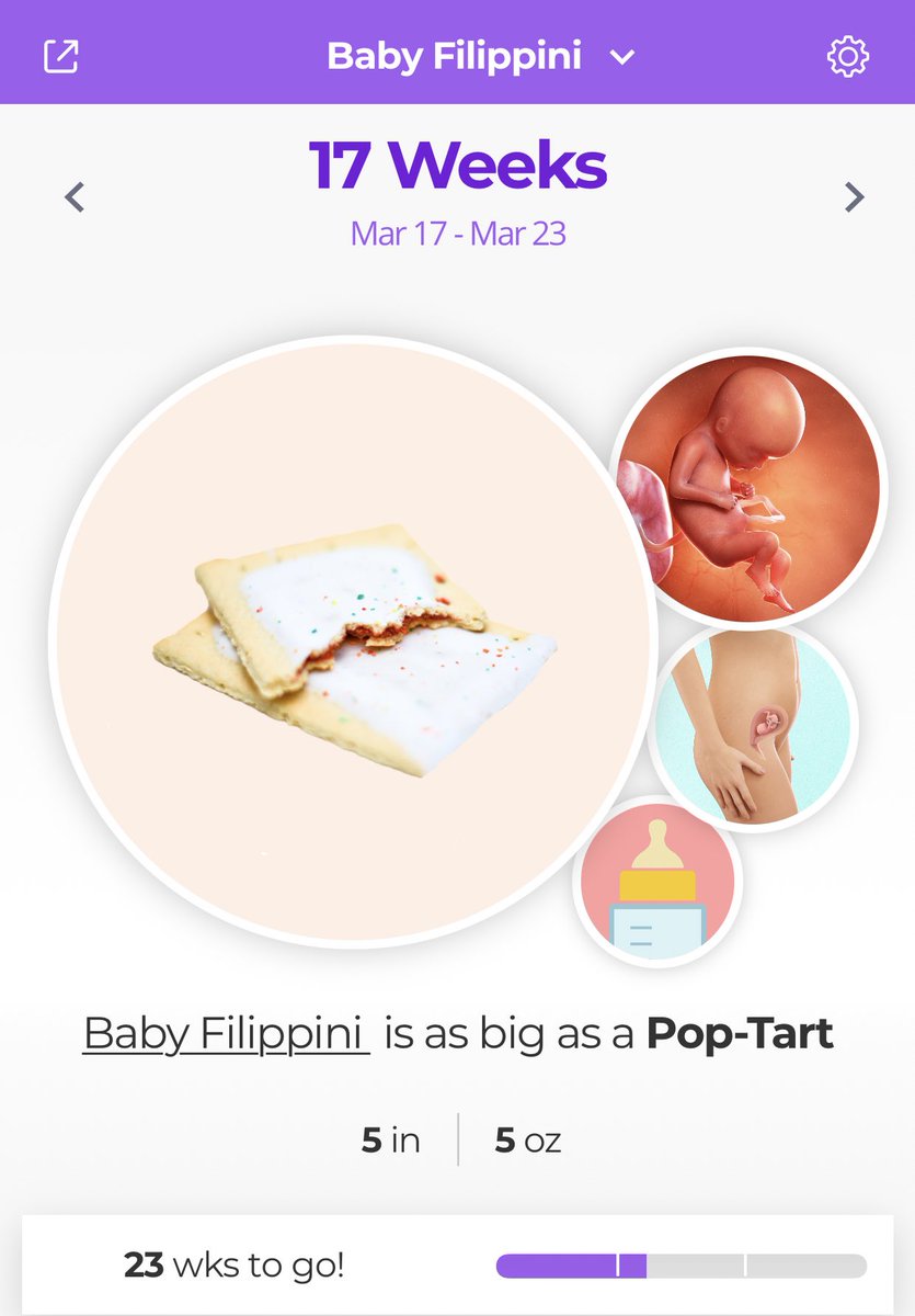 MerSadiesBaby's tweet photo. I have a pop tart baby in my tummy 🥰🎀💗 https://t.co/nMGf0W36fU