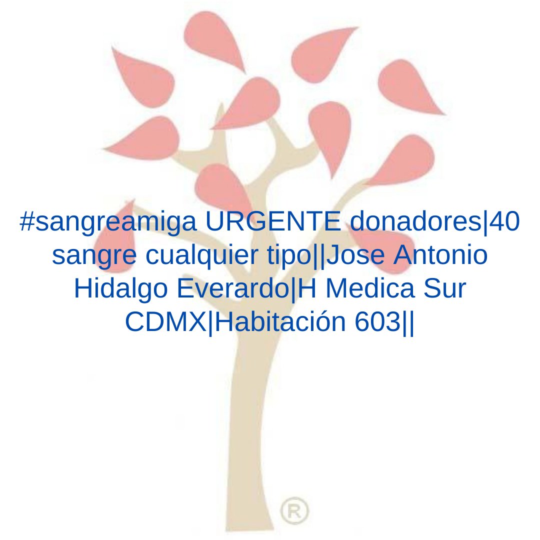 sangreamiga's tweet photo. #sangreamiga URGENTE donadores|40 sangre cualquier tipo||Jose Antonio Hidalgo Everardo|H Medica Sur CDMX|Habitación 603|| https://t.co/kCiTuJ6CXC