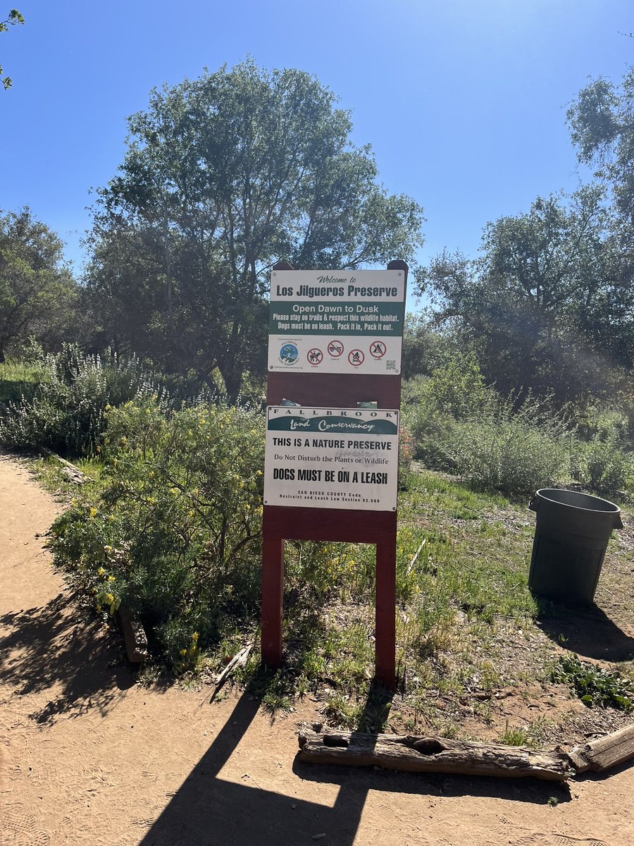 Mariah Willis tweet media