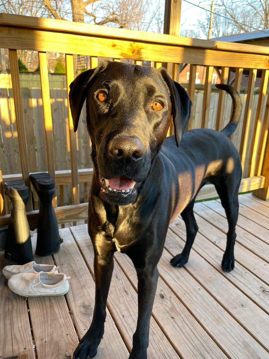 Patio szn is upon us