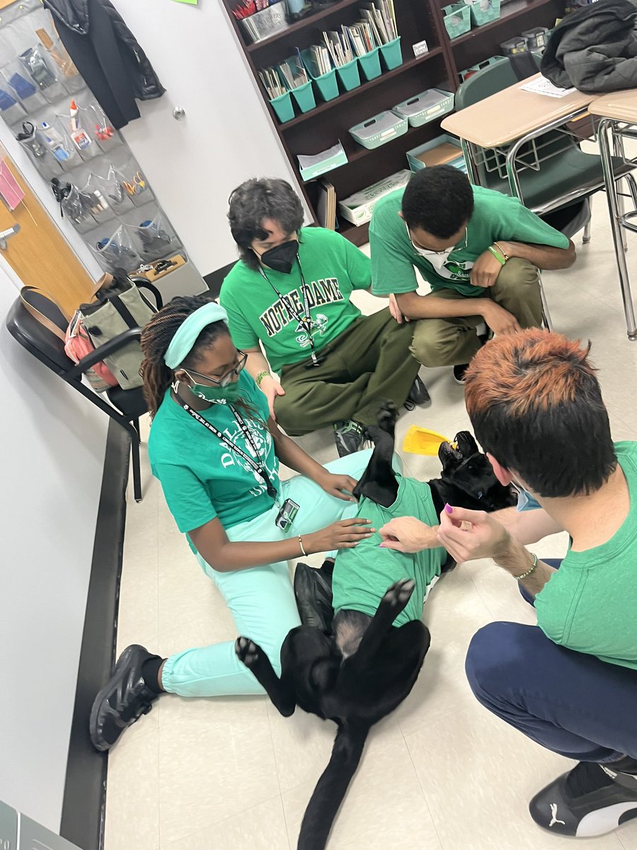 Ms. Boneillo tweet media