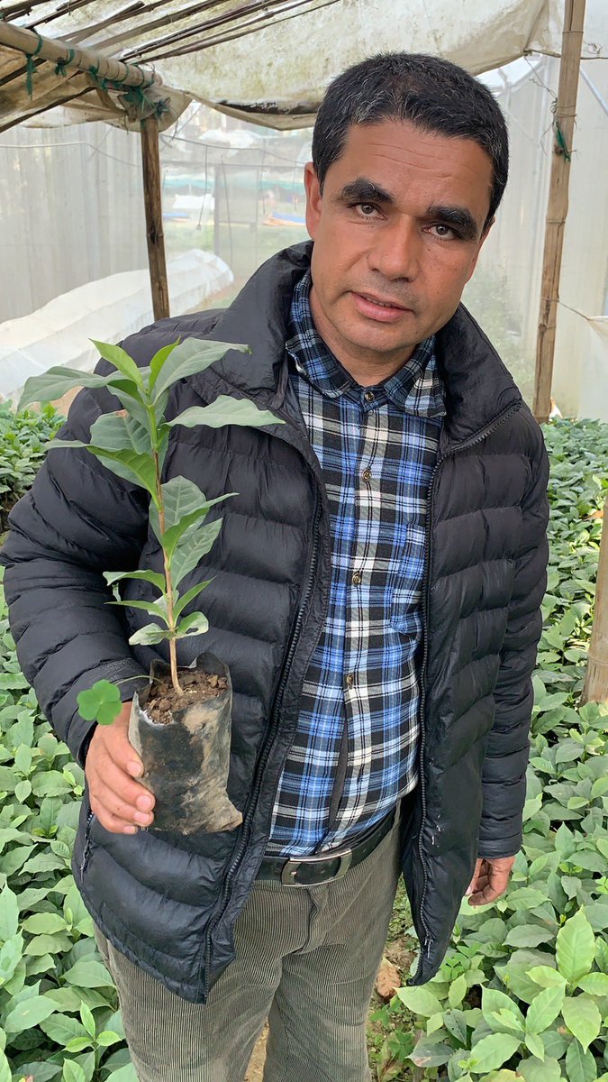 Farmers_Passion's tweet photo. #farmerspassion
#サステナブル
#SDGs
#エシカル
#ネパール
#ネパールコーヒー
コーヒーの苗と農園共同責任者ラジさん😊元気に育っています。
昨年ファーマーズパッションのコーヒーは3種から5種類に増えました。ぜひ、飲み比べてみて下さい。
https://t.co/H6LF75wIrY https://t.co/u37Nh6FOBB