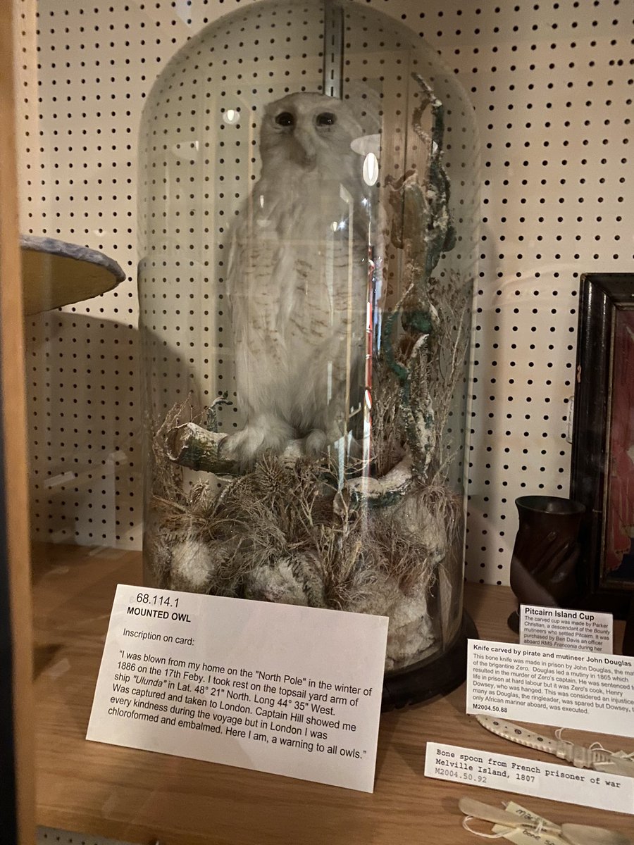 berducky's tweet photo. First stop after lunch - Maritime Museum of the Atlantic! Lots of fun with the scavenger hunt and exhibits. And we found the stuffed owl!! 🤣

#marchbreak #museumsorbust #maritimemuseumoftheatlantic #poorowl #museumadventures #halifax #novascotia @ns_mma @NS_Museum https://t.co/fCH2ie7aK8