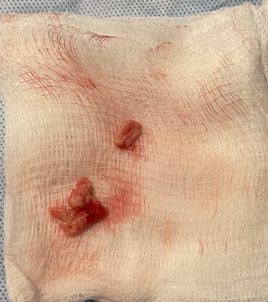 Musa A. Sharkawi tweet media