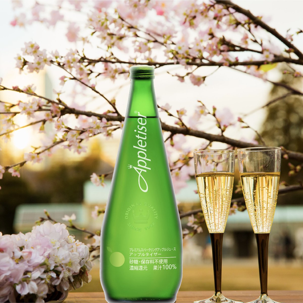 Appletiser_JP's tweet photo. 🌸春のアップルタイザー🌸
暖かくなってきました♪りんご果汁100％＆微炭酸の #アップルタイザー はお花見にもピッタリ！お外でのんびりとアップルタイザーを飲みながら、春風と桜を楽しみませんか？りんごの爽やかな香りとともに春の訪れを感じてみて🕊
#アップルサイダーじゃないよ #微炭酸 #春 https://t.co/YHUCrCXzG5
