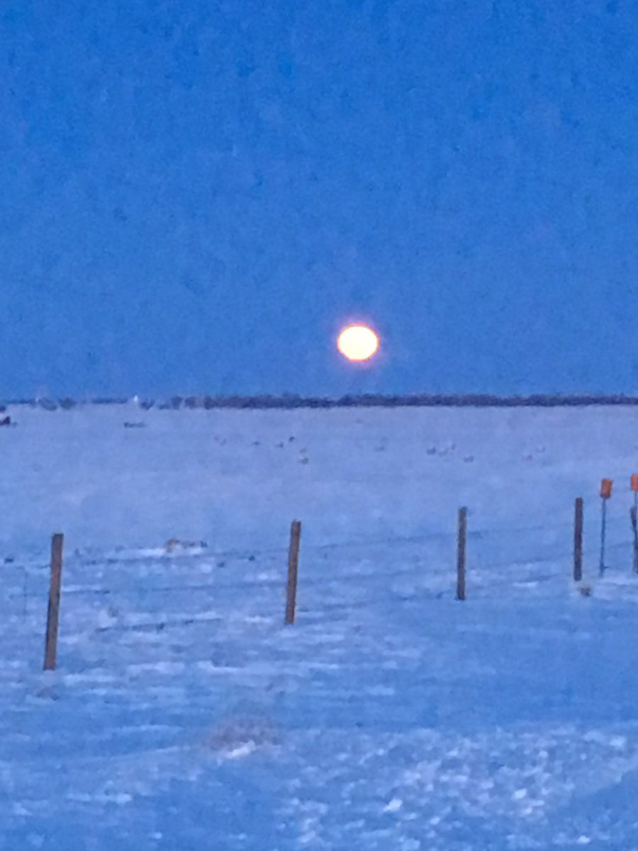 RoseZful's tweet photo. I found these harvest moon pictures on my phone. I really do need to borrow my friend’s moon camera one day… but lucky to have captured these with my eyes when I did. 🌙 https://t.co/yohwlPmlI9