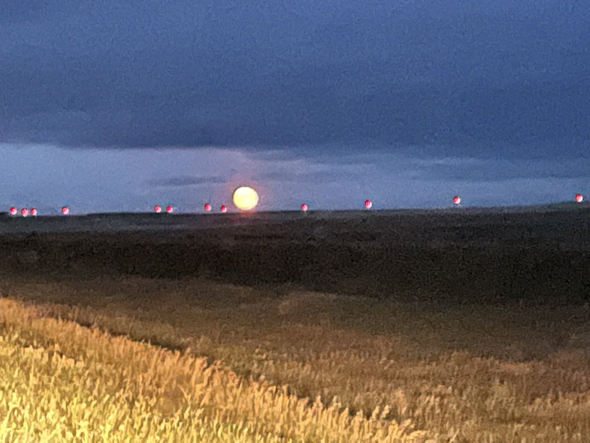 RoseZful's tweet photo. I found these harvest moon pictures on my phone. I really do need to borrow my friend’s moon camera one day… but lucky to have captured these with my eyes when I did. 🌙 https://t.co/yohwlPmlI9