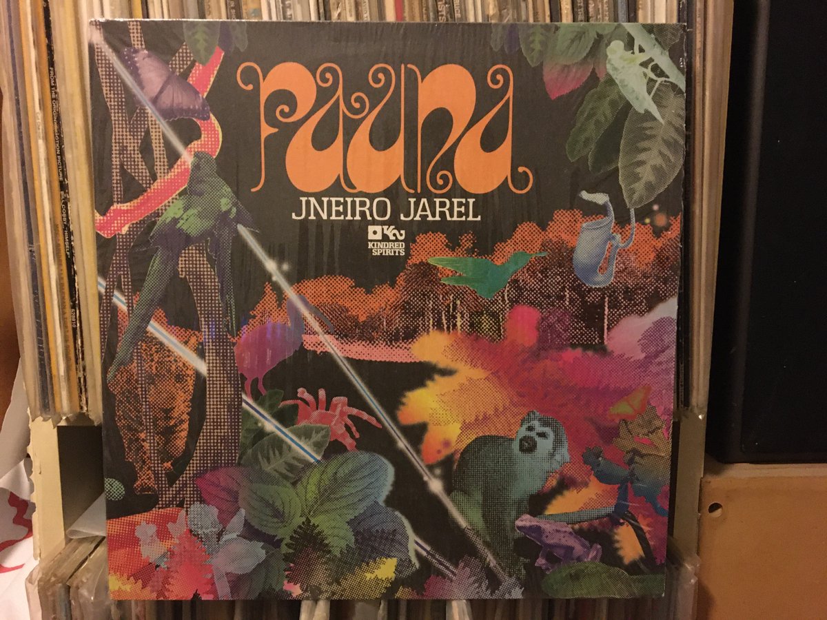 ParkdalePirateRadio tweet media