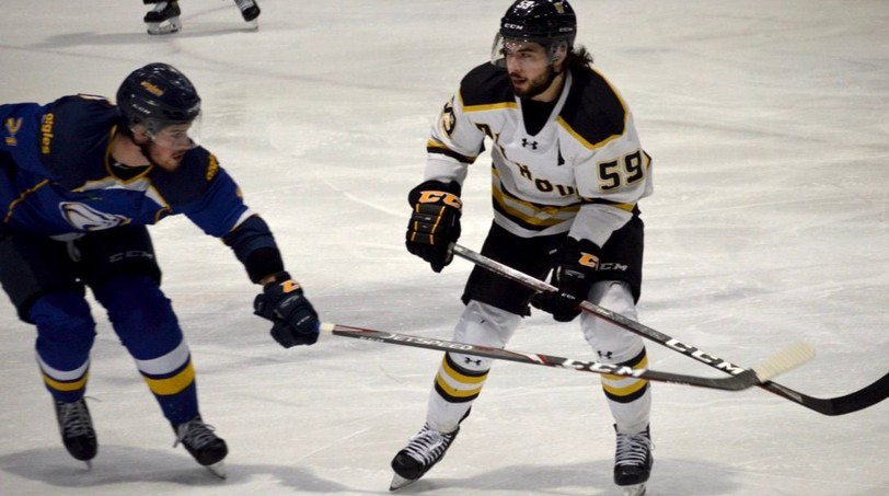HockeyMaritime's tweet photo. Halifax, Nova Scotia native Connor Welsh will be joining the Trois-Rivières Lions of the ECHL.

This season with the @DalTigers, Welsh has 15 points (0G,15A) in 23 games.

Congrats @cwelsh_19!

@Lions3r @ECHL #ECHL #NovaScotia @AVBulldogs @BCHLSmokeEaters https://t.co/4jEF8vOpVV