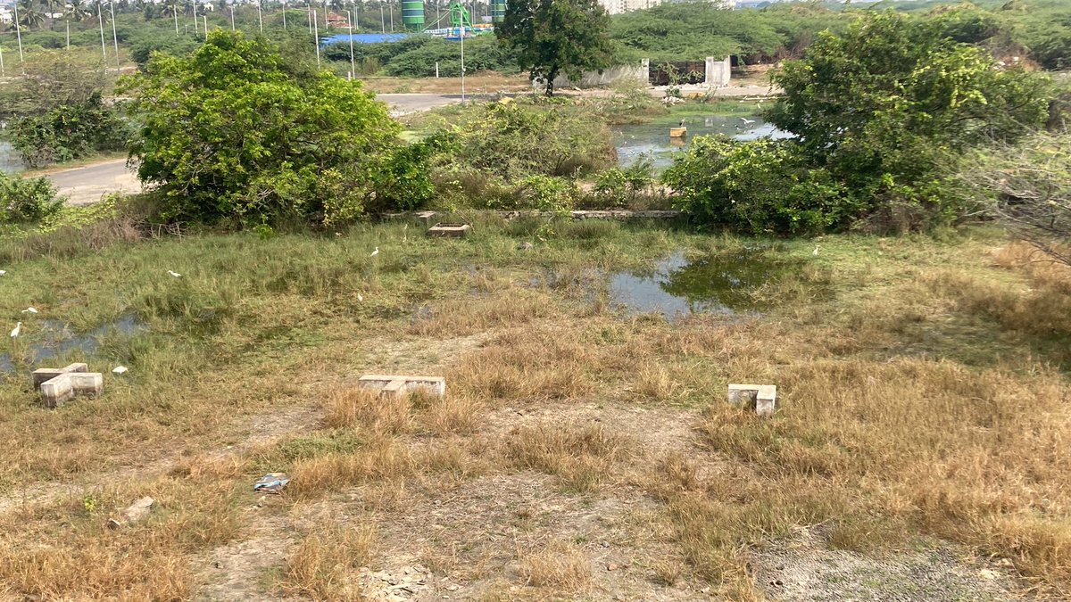 Shyamr46's tweet photo. @Udhaystalin @mkstalin @TRBRajaa @arivalayam @DMKITwing Dear sir Sholinganallur TNHB phase 3 housing board area has been fully surrounded by drainage and it’s causing awful smell during night time and kids are suffering with regular fever kindly take action on this. https://t.co/UehiEazn9C
