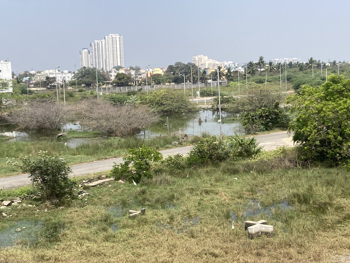 Shyamr46's tweet photo. @Udhaystalin @mkstalin @TRBRajaa @arivalayam @DMKITwing Dear sir Sholinganallur TNHB phase 3 housing board area has been fully surrounded by drainage and it’s causing awful smell during night time and kids are suffering with regular fever kindly take action on this. https://t.co/UehiEazn9C