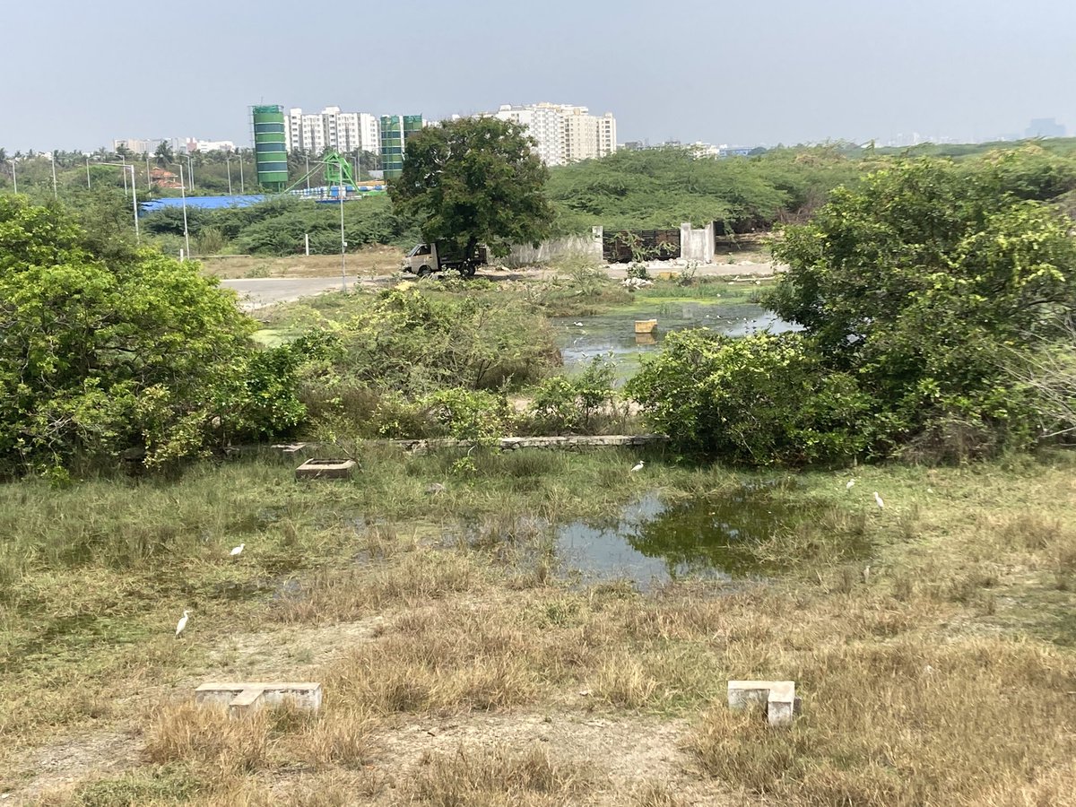 Shyamr46's tweet photo. @Udhaystalin @mkstalin @TRBRajaa @arivalayam @DMKITwing Dear sir Sholinganallur TNHB phase 3 housing board area has been fully surrounded by drainage and it’s causing awful smell during night time and kids are suffering with regular fever kindly take action on this. https://t.co/UehiEazn9C