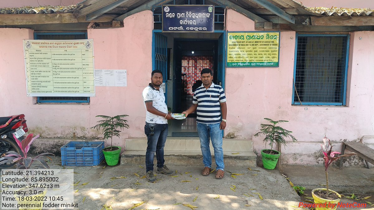 BGhatagaon's tweet photo. Perennial fodder minikit distribution @DistAdmKeonjhar @dahvsodisha @farddept @Vkpandianfancl1 https://t.co/ecChss9BVC