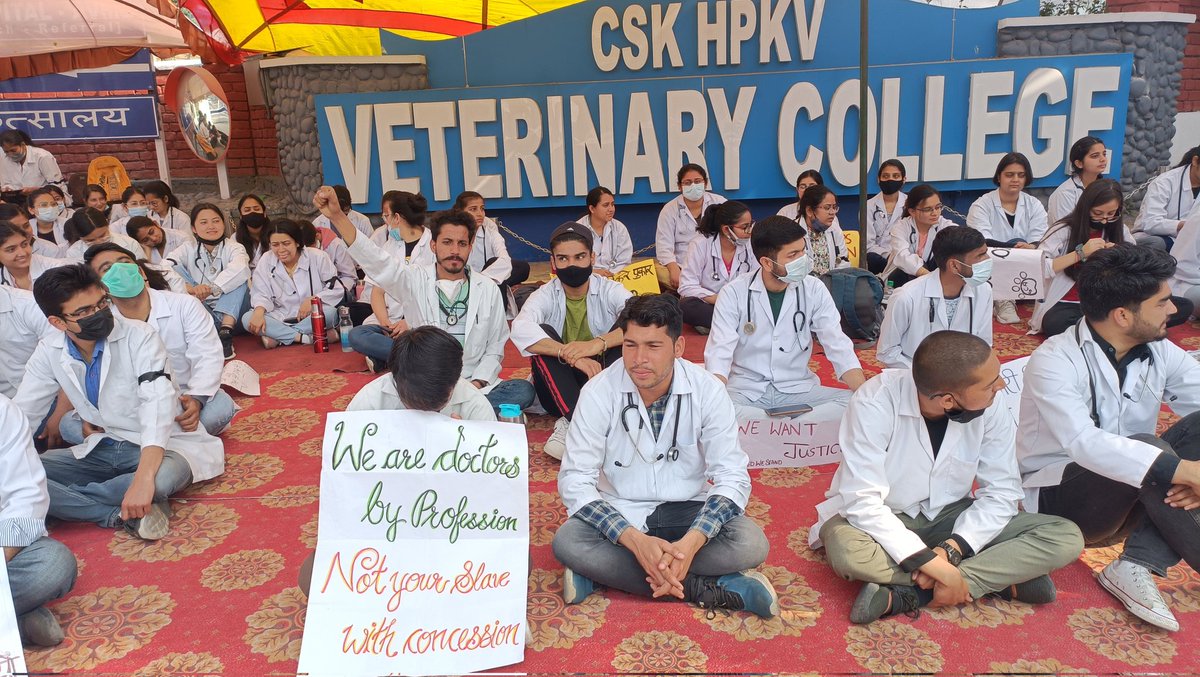 dr.gcncovas tweet media