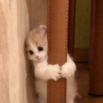 jongiseong's tweet photo. Ngintipin adek @Ieeuseo https://t.co/cJxtnVD8kC