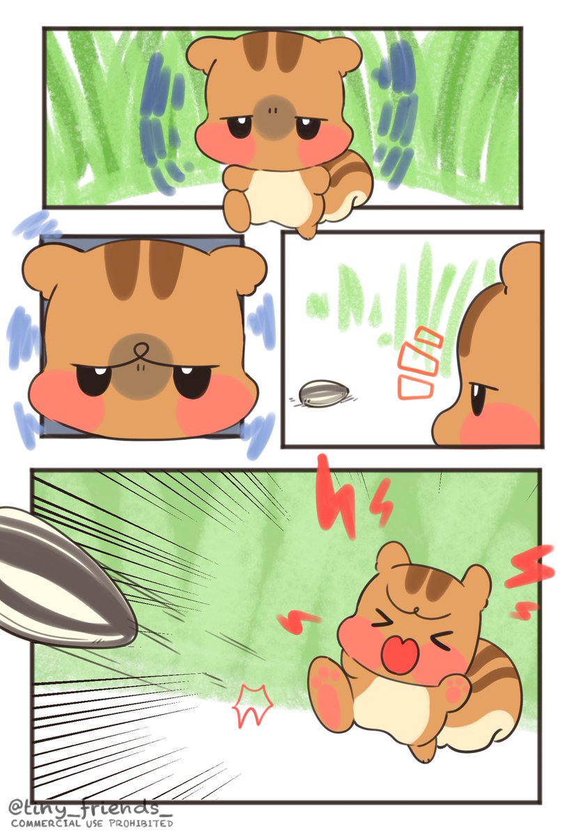 tiny_friends_'s tweet photo. ③🐹?🐿 https://t.co/rc6XqIa3Wi