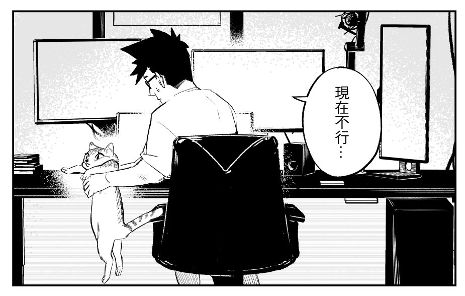 -貓- 
