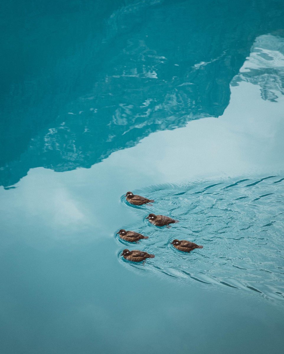 Just getting my ducks in a row for summer. Carry on 💫