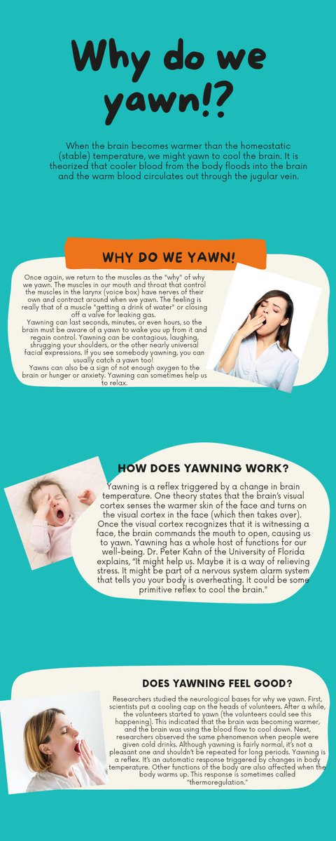 #BellaChallenge today learnt about the science behind yawning...<a href="/BlueStudios_io/">Blue Studios Labs</a> @bluestudiosNFT #NFTCommunity