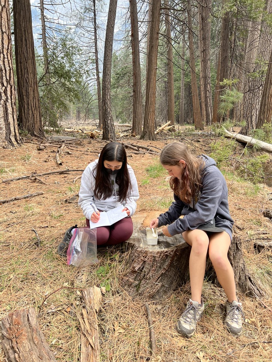 MeghanGreenbaum's tweet photo. Group 3 checking water quality and identifying micro invertebrates #yoblach @BlachFalcons https://t.co/g89bDD40jX