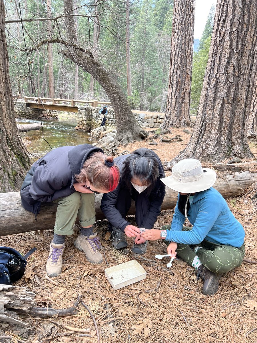 MeghanGreenbaum's tweet photo. Group 3 checking water quality and identifying micro invertebrates #yoblach @BlachFalcons https://t.co/g89bDD40jX