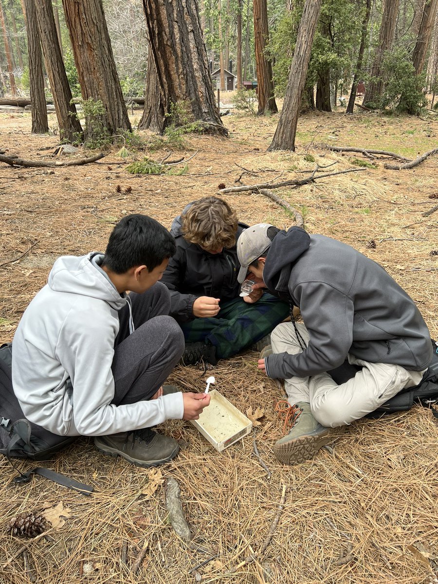 MeghanGreenbaum's tweet photo. Group 3 checking water quality and identifying micro invertebrates #yoblach @BlachFalcons https://t.co/g89bDD40jX