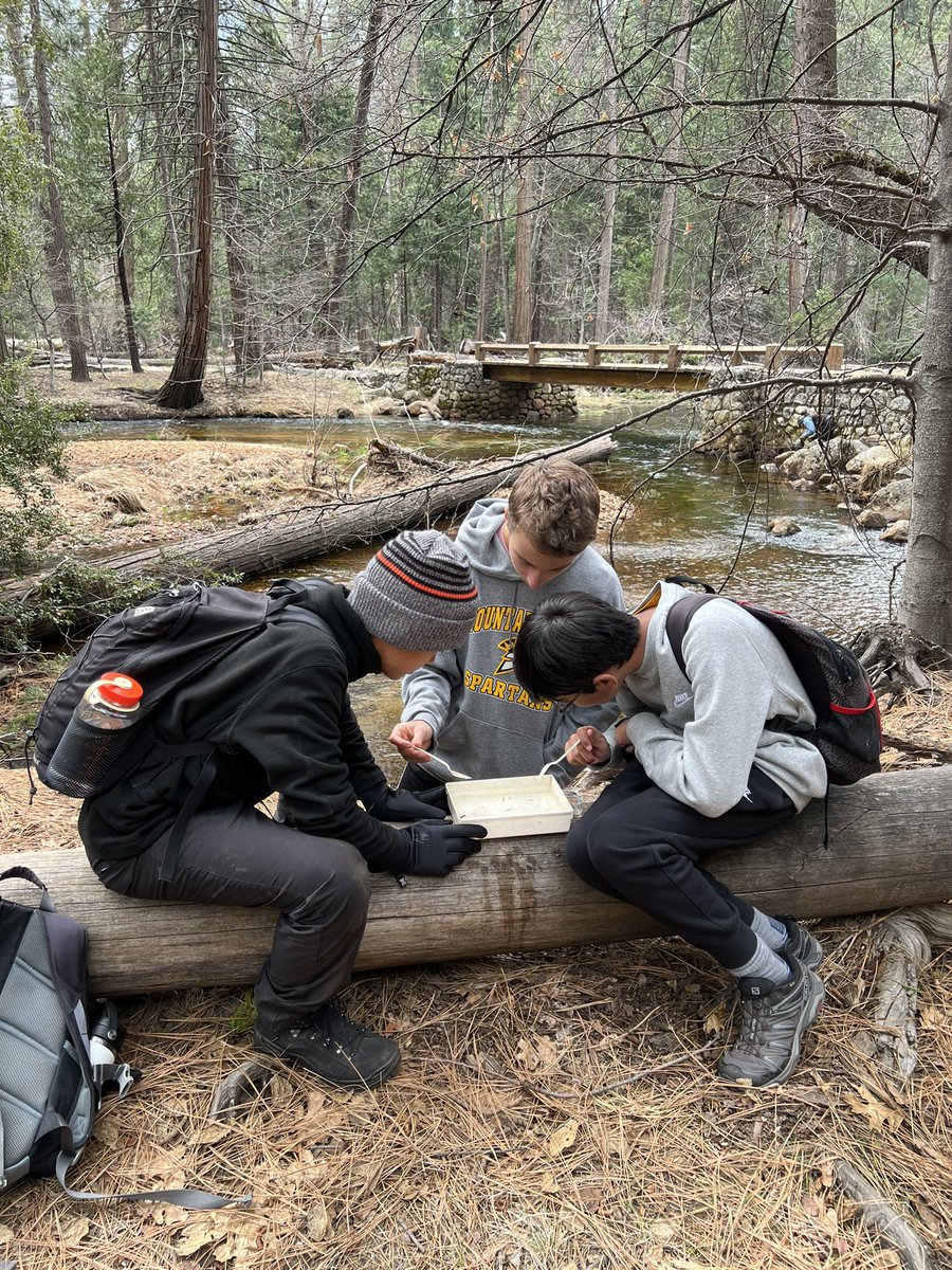 MeghanGreenbaum's tweet photo. Group 3 checking water quality and identifying micro invertebrates #yoblach @BlachFalcons https://t.co/g89bDD40jX