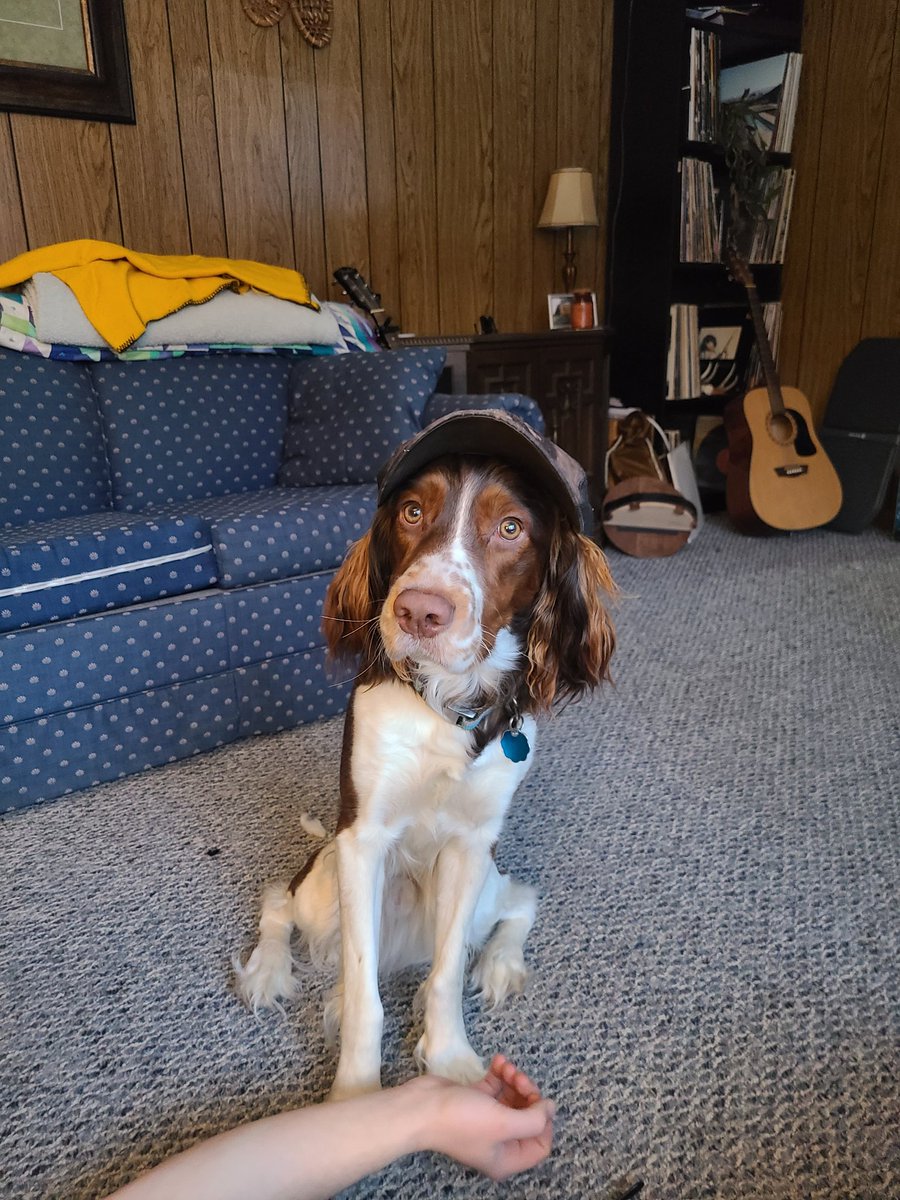 CoreyK1029's tweet photo. @BuschBeer #BuschBarkBracket #Contest https://t.co/32iacrp6PD