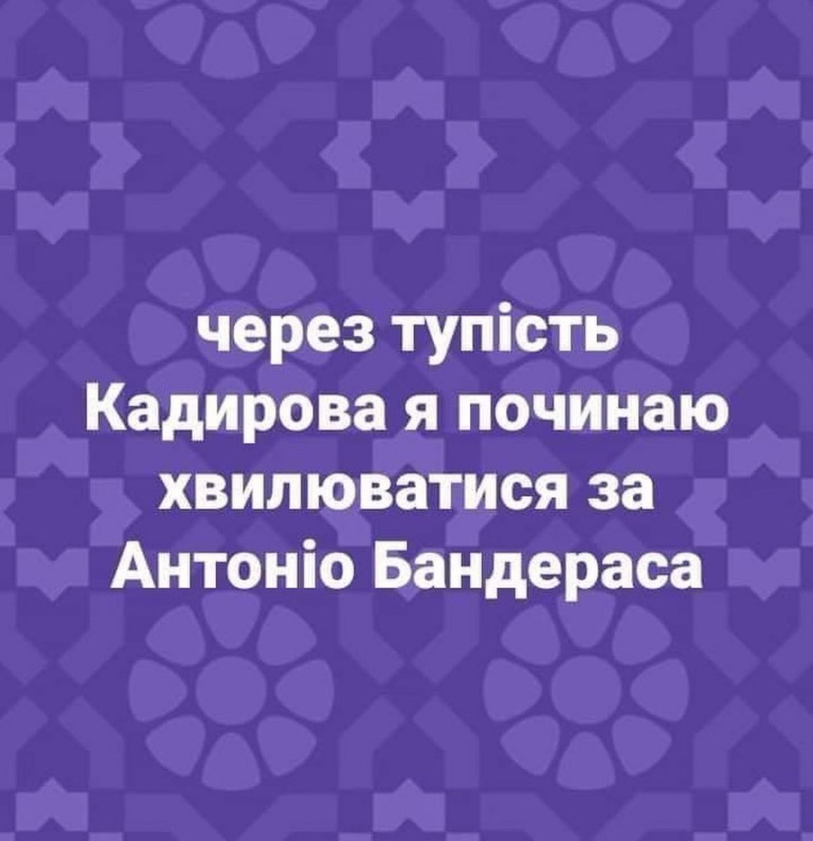 honey (@katerinabanit) on Twitter photo 