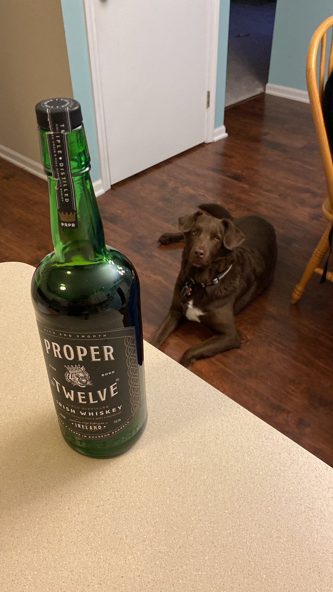 TheSeanPigott's tweet image. #ProperStPaddysDay #ProperWhiskey @Proper12Twelve @TheNotoriousMMA #ProperPup Happy St. Patrick’s day #Slainte