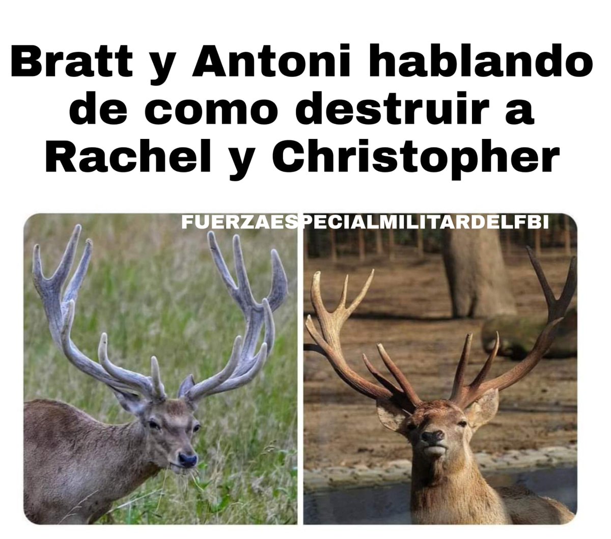 Una reunión tan bella