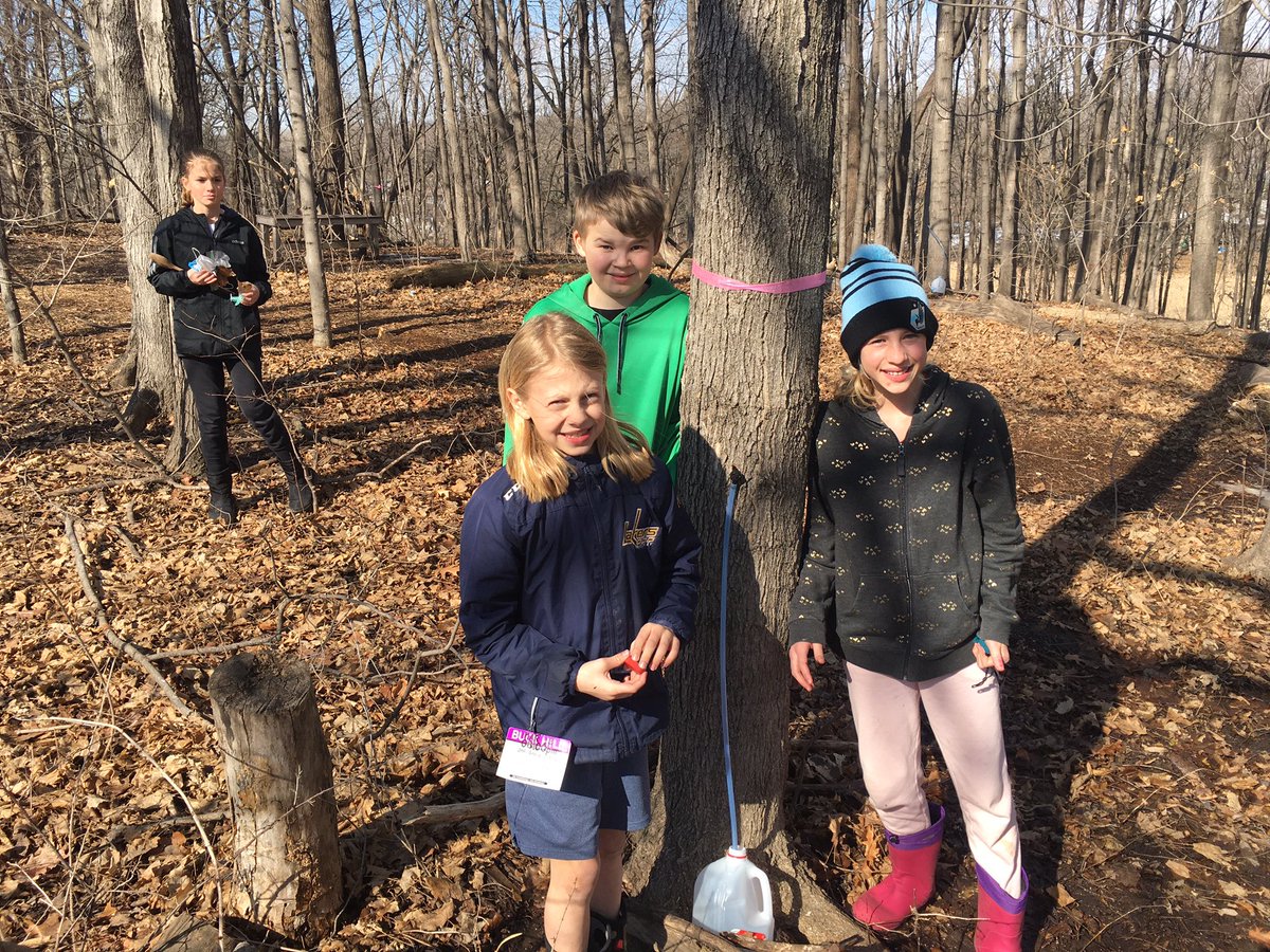 Tapped our sugar maples with the Junior Naturalists yesterday! <a href="/ADutke/">Anna Dutke</a> <a href="/TeachOutdoorsMN/">Teach Outdoors! Minnesota</a> <a href="/PLSEA719/">PL-S Education</a> <a href="/isd719/">Prior Lake-Savage Area Schools</a> <a href="/SchuermanKaty/">Katy Schuerman</a>