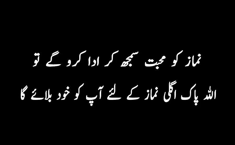 ai7054's tweet photo. Beshak ♥️
#Qubicin
#ITUniSol
#ACT_Tech
#MSGTrend
#DigitalPakistani https://t.co/ws04SwBzhJ