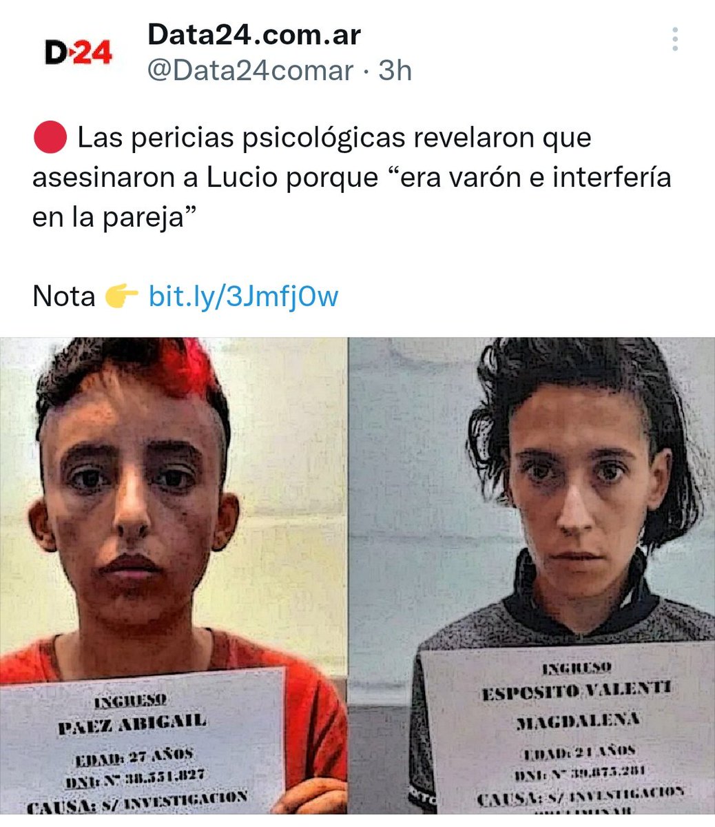 Lu Palavecino tweet media