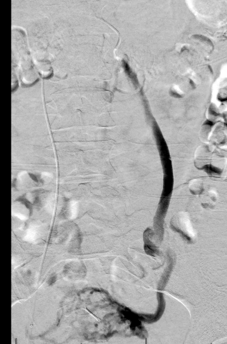 Ramkrishna Patel tweet media