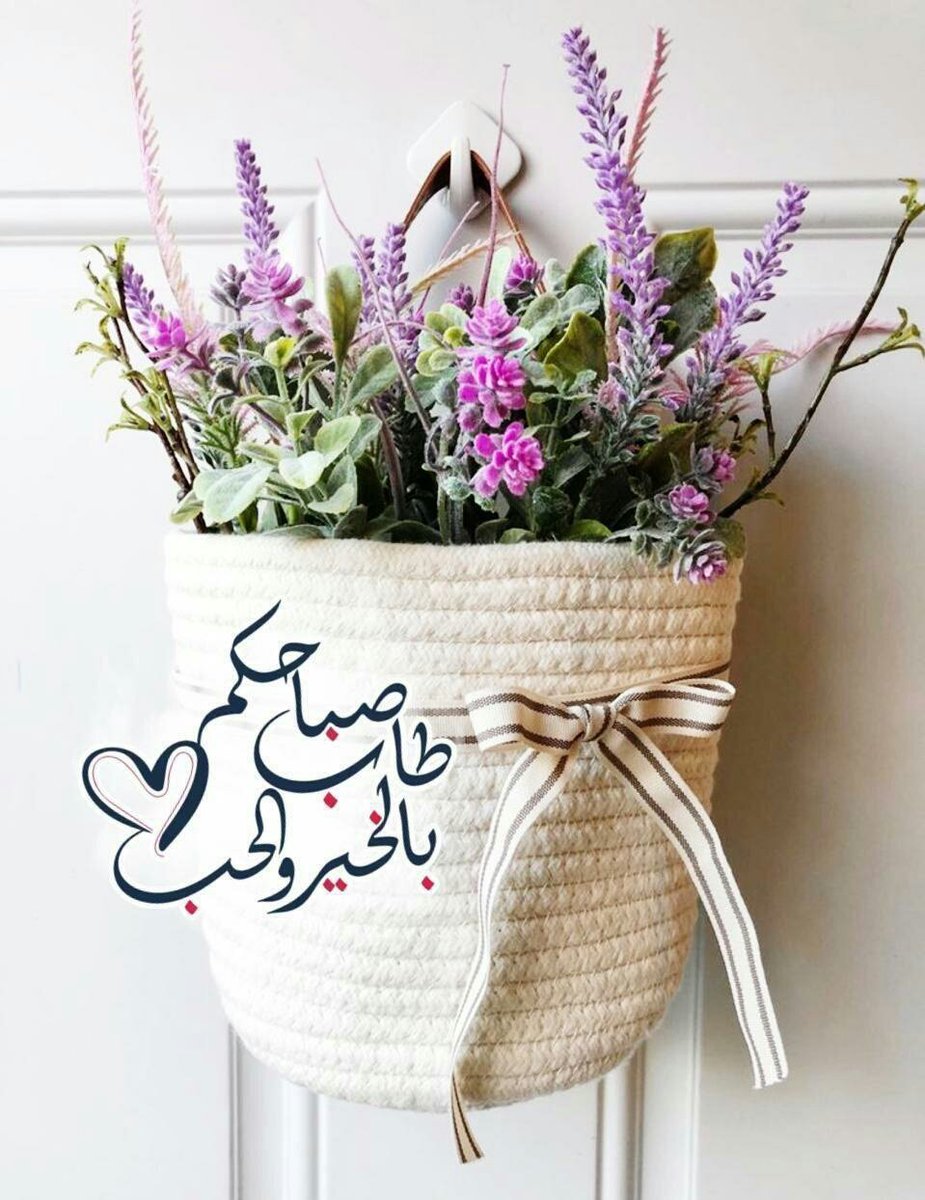 ammar122amma's tweet photo. https://t.co/wgyNpI1MFK