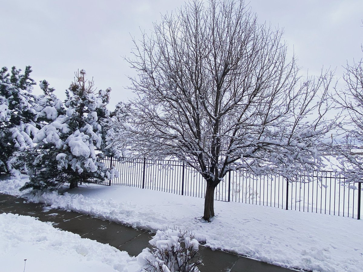 jeney4's tweet photo. Yes…it’s beautiful…But I’m so ready for spring!!! #donewithsnow https://t.co/vKZhh4SAvf