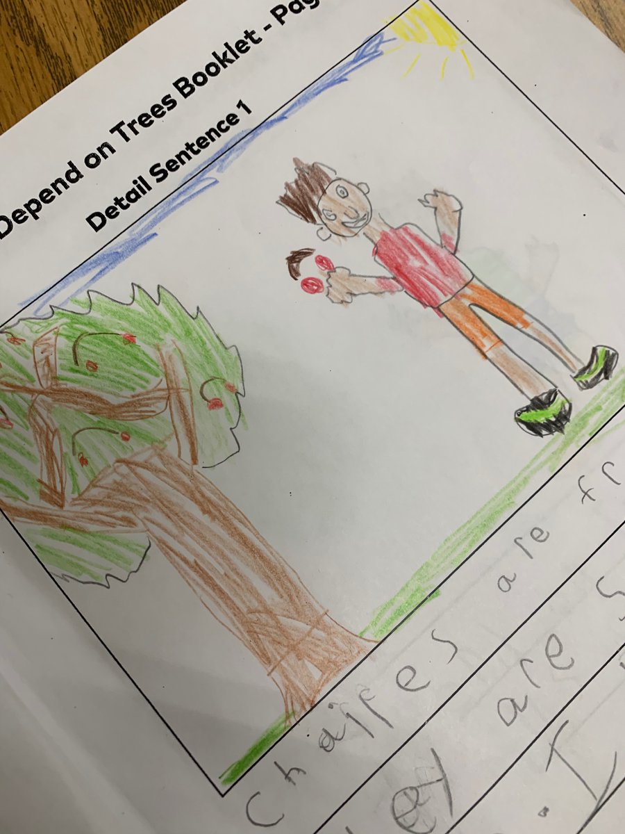 Some high quality work writing about trees in our kg classroom! <a href="/ELeducation/">EL Education</a> #wearecrew #ElginIL