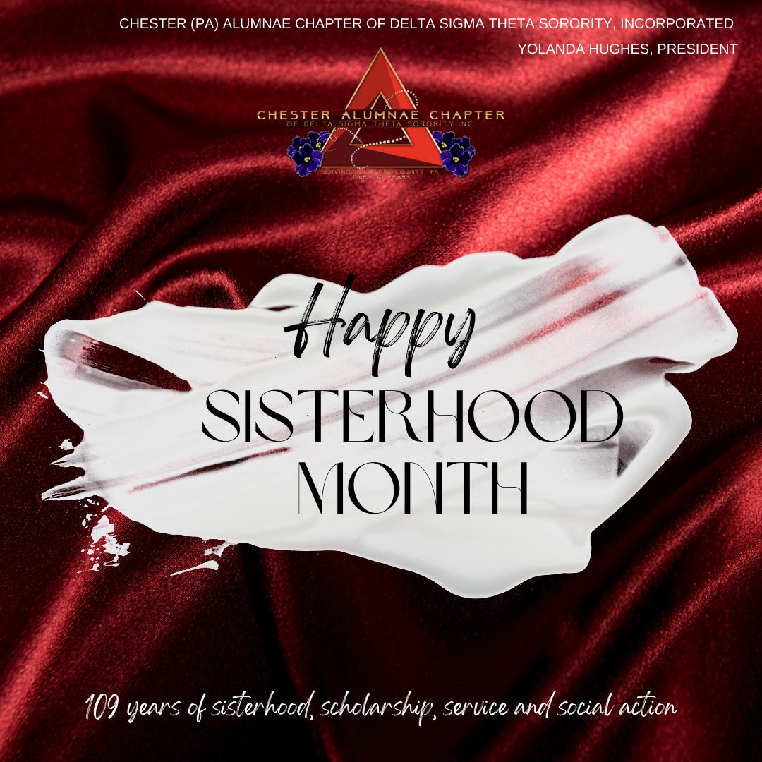 ChesterPADST's tweet photo. It’s the third week of Sisterhood Month! The @easternregdst encourages you to reach out to a collegiate soror or Delta DEAR who is in an international chapter. #SisterhoodDST #ElevateOurSisterhood #WeAreDST #dstcacpa #ERLoveMySisterDST https://t.co/GKSv3u7Hxl