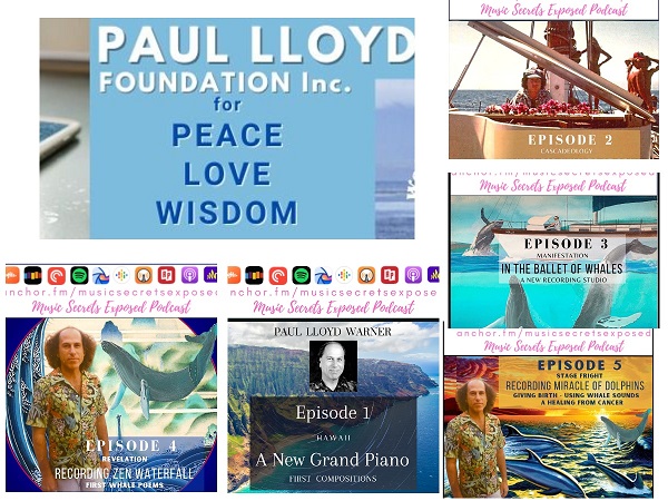 sylvialive2023's tweet image. @FMBRonline Tune in to the soundwaves of healing with @drplw  @dolphinguru  musicsecretsexposedpodcast.com/waterfall-musi…
#waterfallMusic