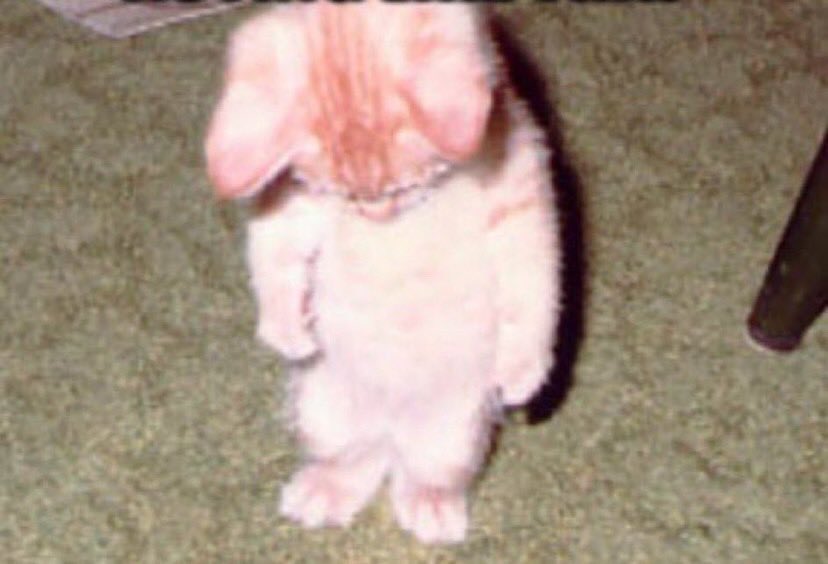 buffysworld's tweet image. wanna slit mii fcking throat .