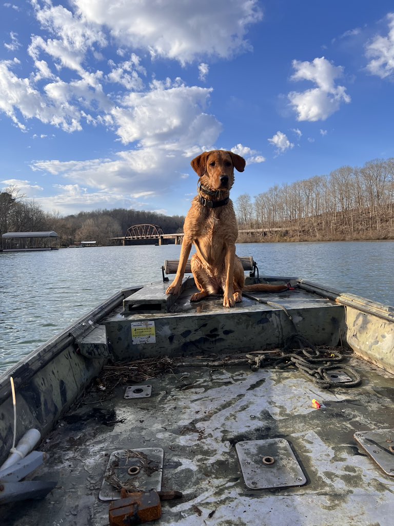 GunnarPfeffer's tweet photo. @BuschBeer https://t.co/PtWCB0Ta57