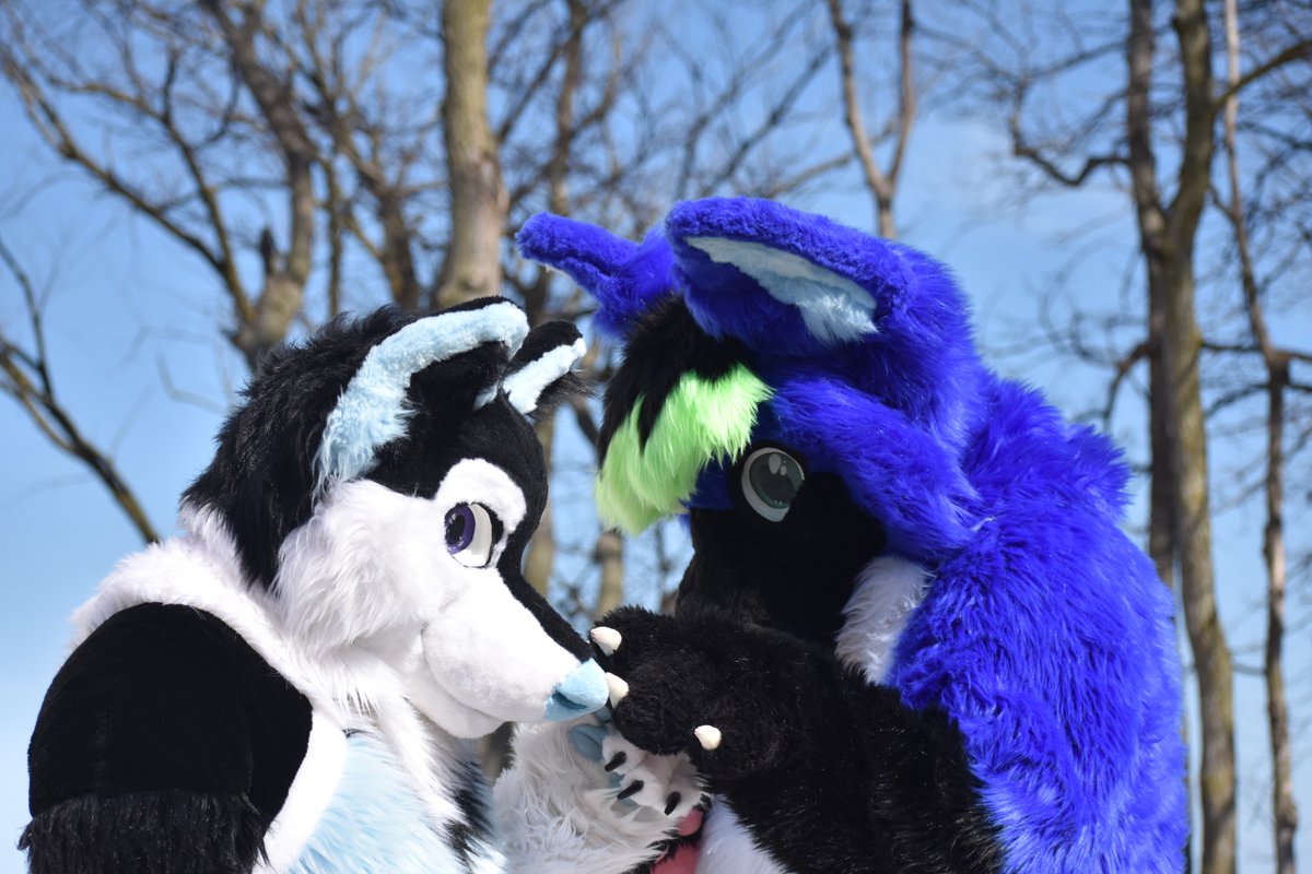 happy #FursuitFriday. picture from when we went to the marblehead lighthouse. giving <a href="/nameless_wolf21/">Nameless_The_Wolf🔜 mff</a> boops.

#furry #furries #furryfandom #furrycommunity #fursuit #fursuits #fursuiter #fursuiters #LakeErie #lighthouse #public #suiting #furrytrash