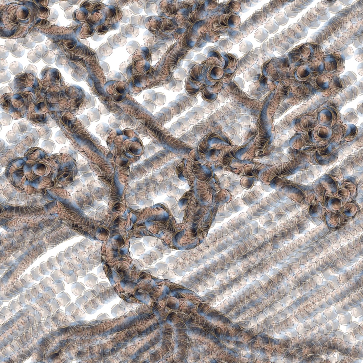 Joseph Kim tweet media