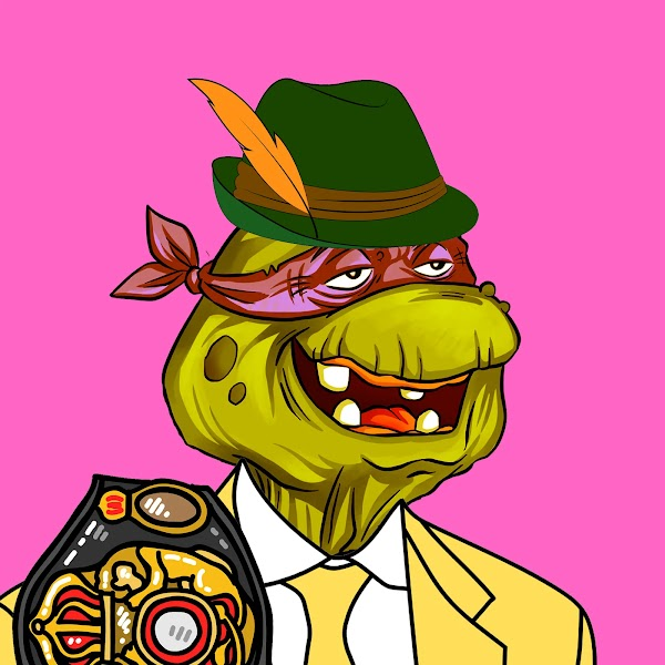 Dapper Turtles tweet media