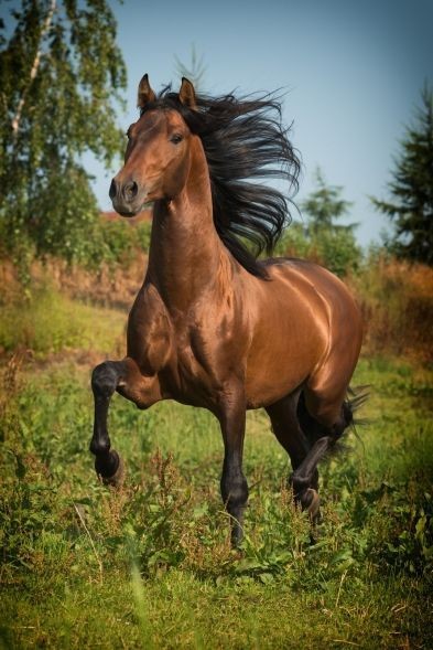 Ari_Trinidad6's tweet photo. Cabai re wbeba
Monté a ese caballo https://t.co/ZKuBZ1lNnR