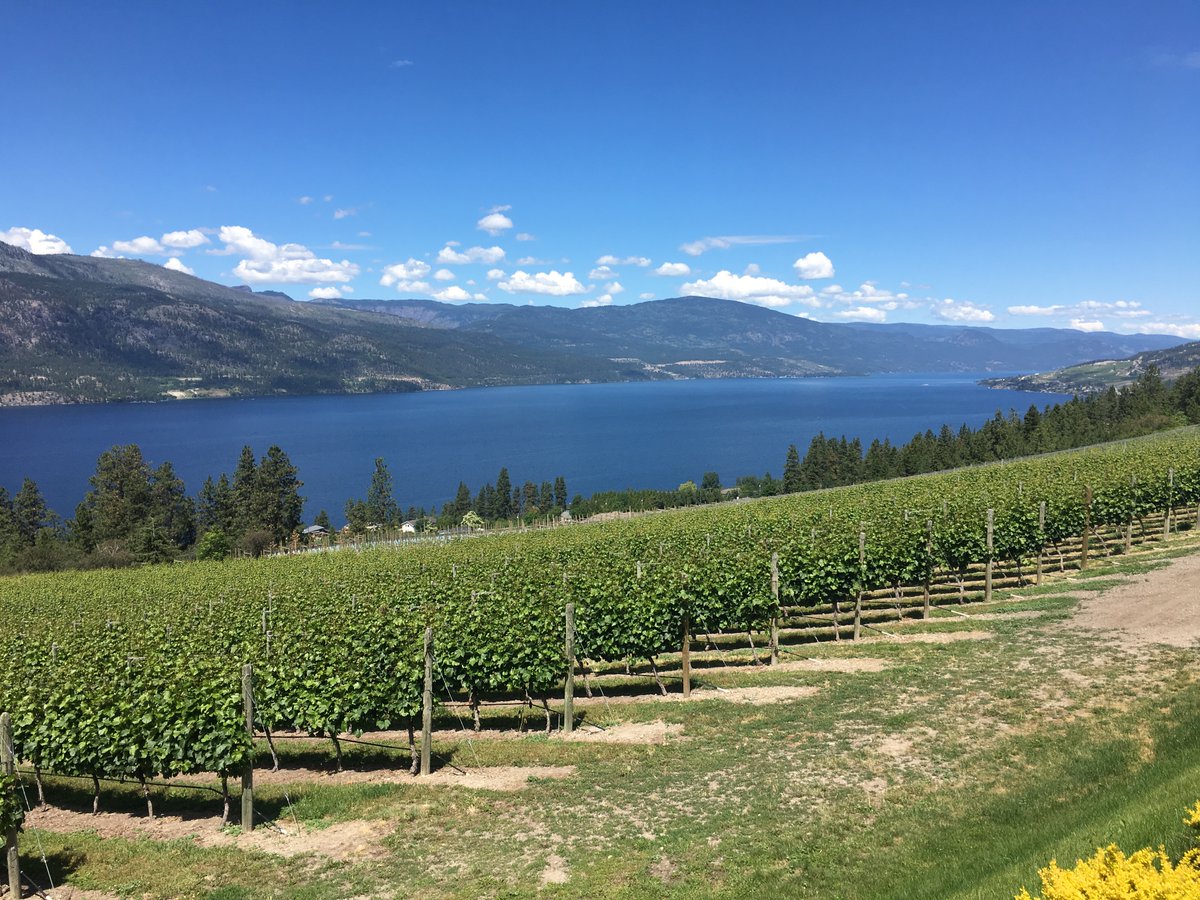 Vancouver Bone Squad tweet media